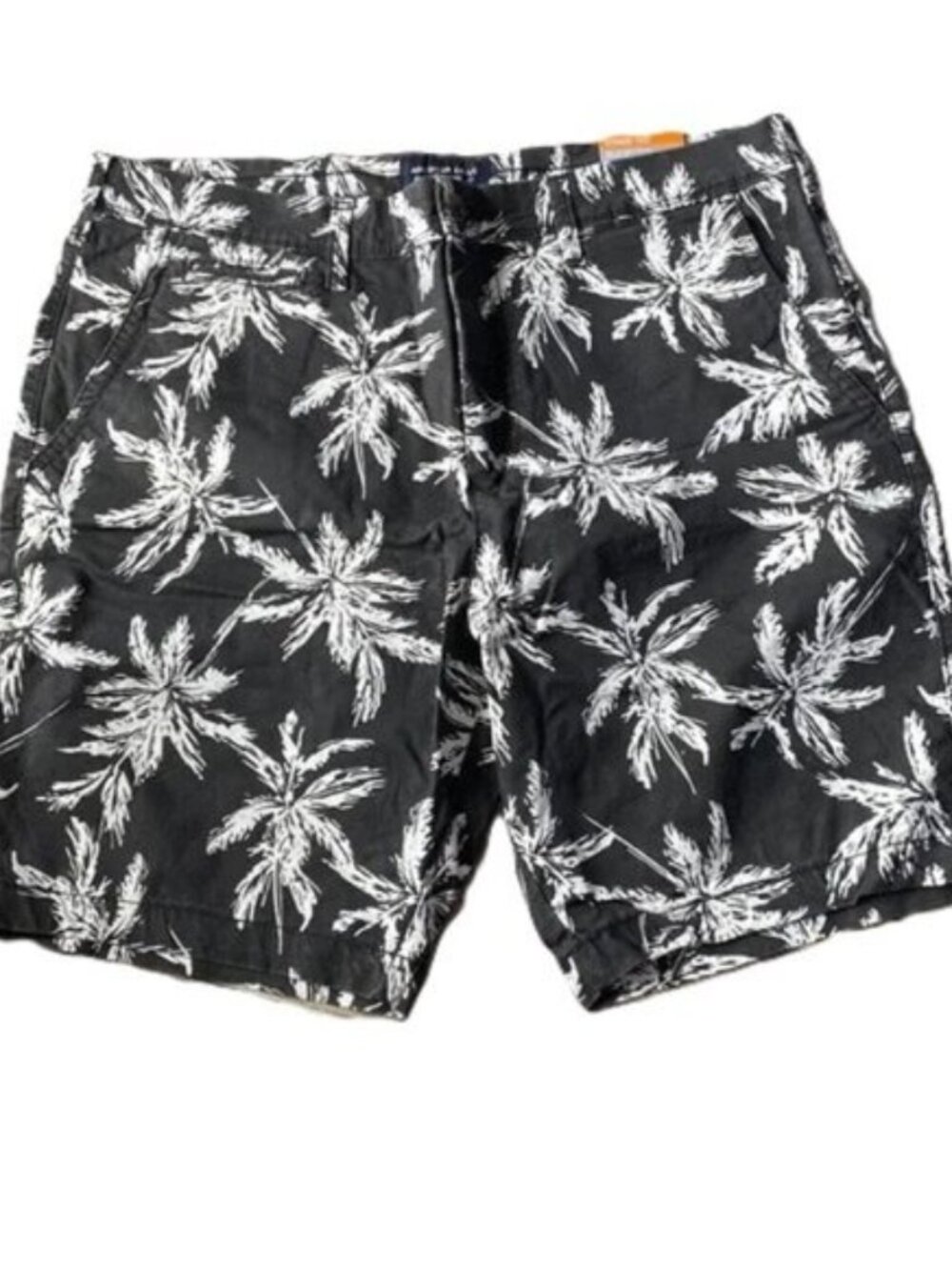 American Eagle Outfitters Men’s 36 38 Shorts Extreme Flex Tropical Palm Tree